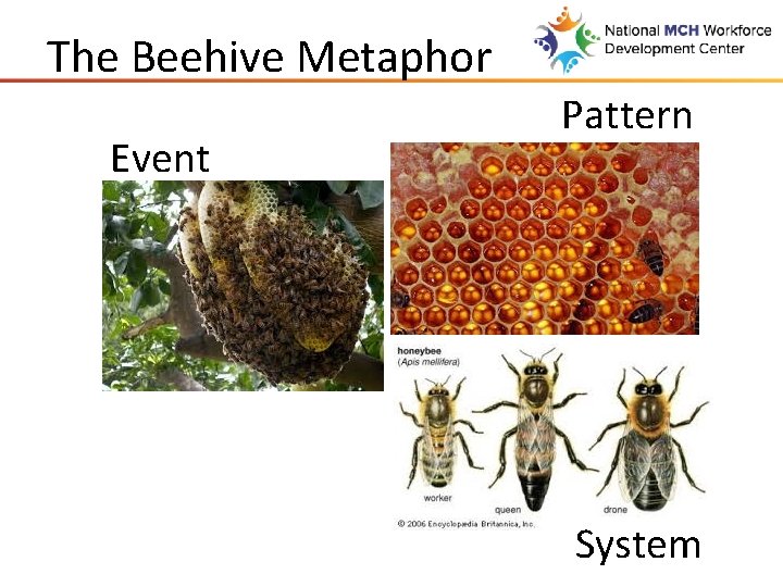 The Beehive Metaphor Event Pattern System 