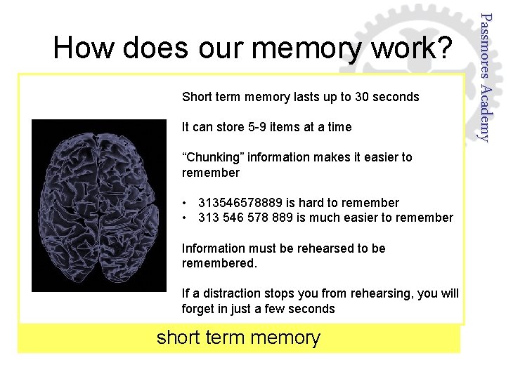 Short term memory lasts up to 30 seconds It can store 5 -9 items