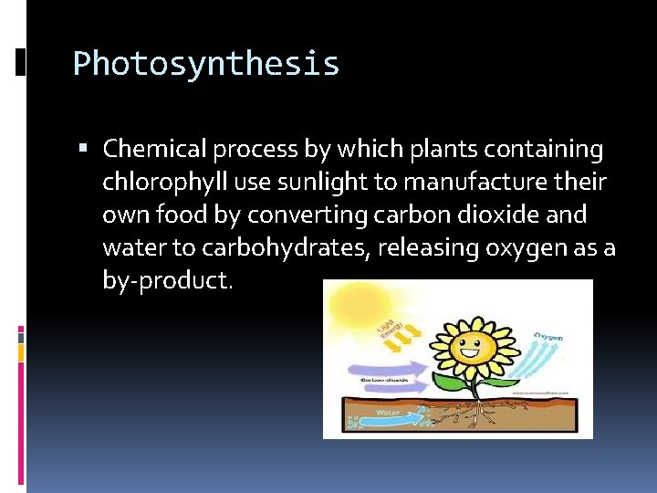 Photosynthesis Chemical process by which plants containing chlorophyll use sunlight to manufacture their own