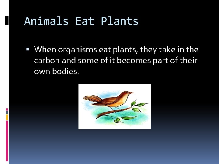 Animals Eat Plants When organisms eat plants, they take in the carbon and some