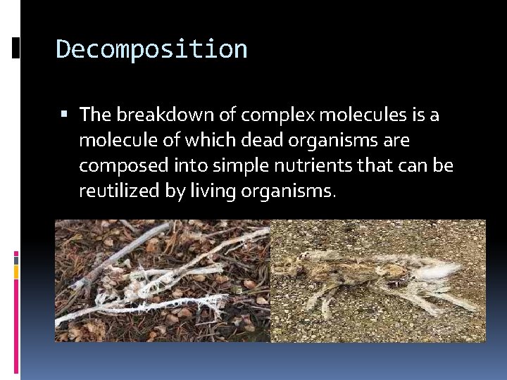 Decomposition The breakdown of complex molecules is a molecule of which dead organisms are