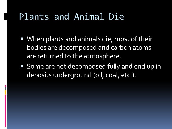 Plants and Animal Die When plants and animals die, most of their bodies are