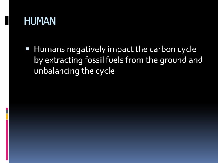 HUMAN Humans negatively impact the carbon cycle by extracting fossil fuels from the ground