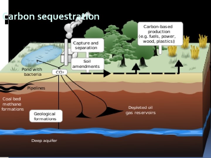 Carbon sequestration 