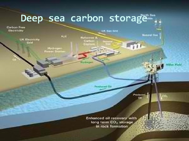 Deep sea carbon storage 