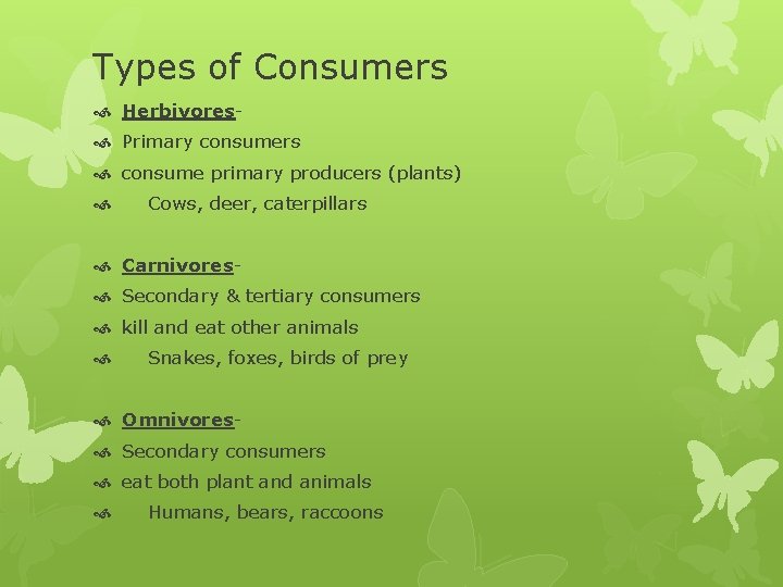 Types of Consumers Herbivores Primary consumers consume primary producers (plants) Cows, deer, caterpillars Carnivores