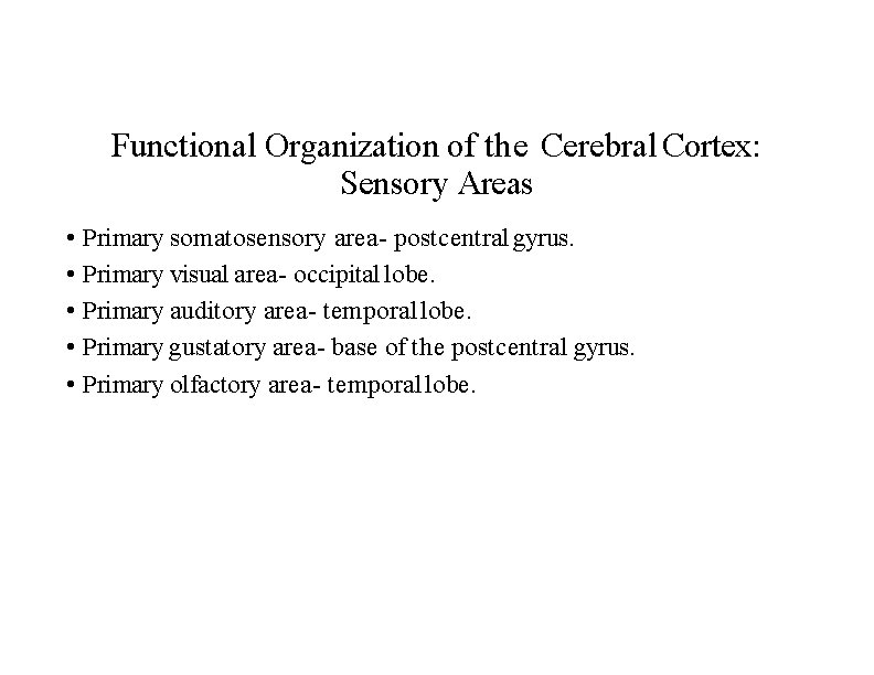 Functional Organization of the Cerebral Cortex: Sensory Areas • Primary somatosensory area- postcentral gyrus.