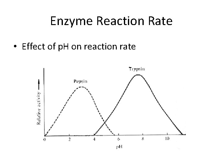 Enzyme Reaction Rate • Effect of p. H on reaction rate 