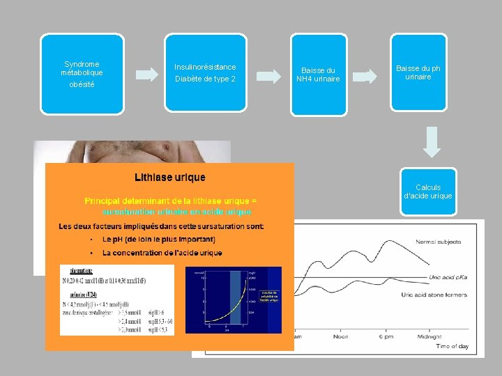 Syndrome métabolique obésité Insulinorésistance Diabète de type 2 Baisse du NH 4 urinaire Baisse