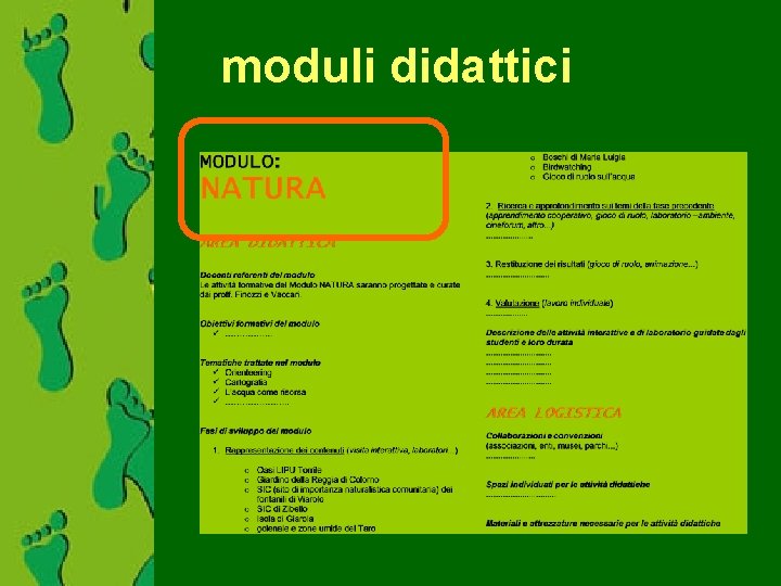 moduli didattici 