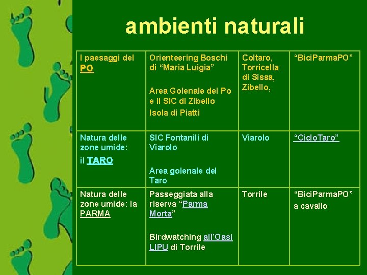 ambienti naturali I paesaggi del PO Orienteering Boschi di “Maria Luigia” Area Golenale del