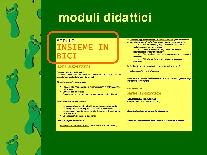 moduli didattici 