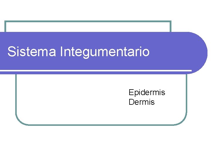 Sistema Integumentario Epidermis Dermis 