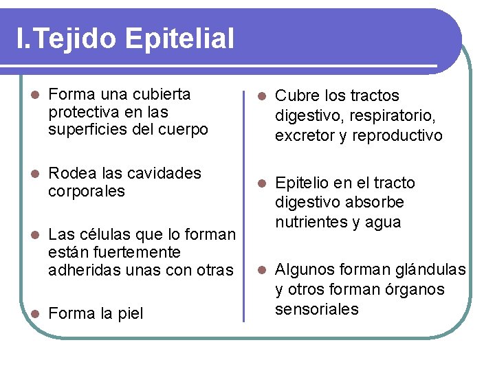 I. Tejido Epitelial l Forma una cubierta protectiva en las superficies del cuerpo l