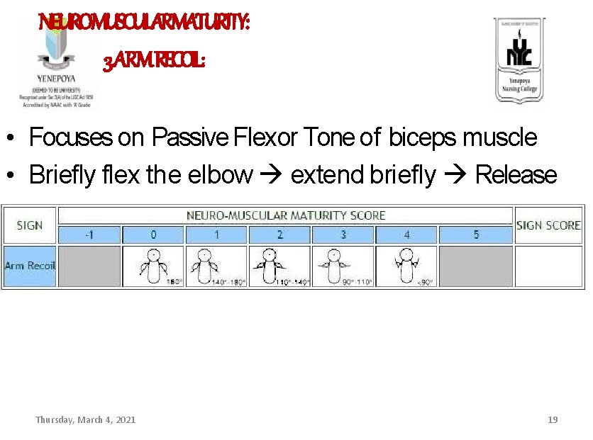 NEUROMUSCULARMATURITY: 3. ARM RECOIL: • Focuses on Passive Flexor Tone of biceps muscle •