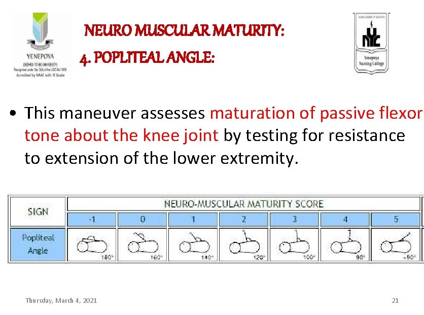  NEURO MUSCULAR MATURITY: 4. POPLITEAL ANGLE: • This maneuver assesses maturation of passive