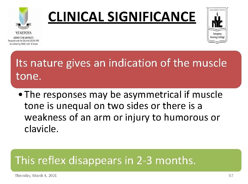 CLINICAL SIGNIFICANCE Its nature gives an indication of the muscle tone. • The responses