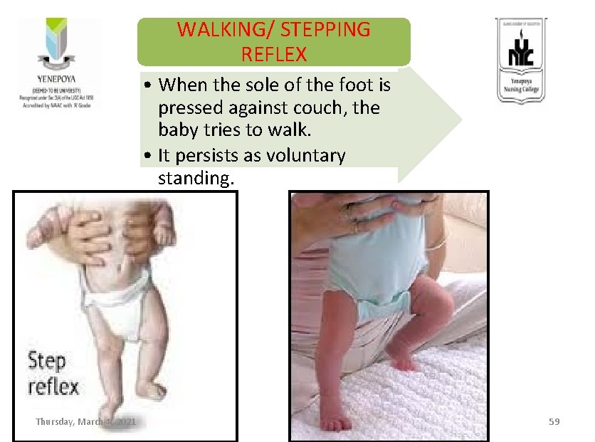 WALKING/ STEPPING REFLEX • When the sole of the foot is pressed against couch,