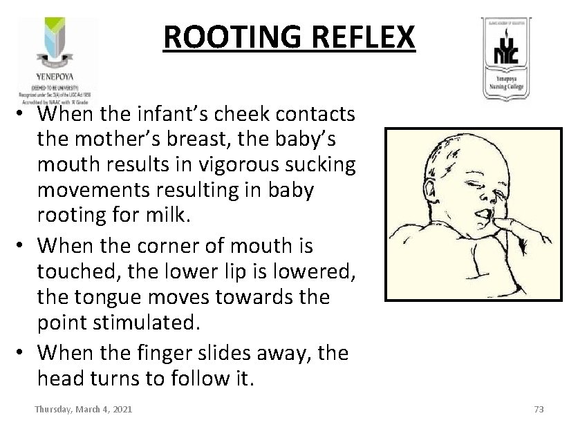 ROOTING REFLEX • When the infant’s cheek contacts the mother’s breast, the baby’s mouth