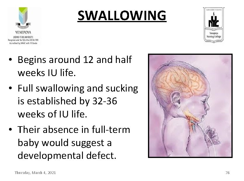 SWALLOWING • Begins around 12 and half weeks IU life. • Full swallowing and