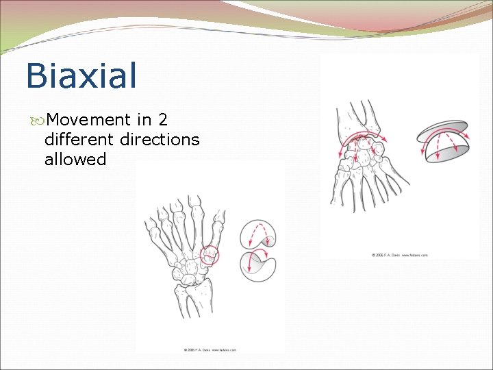 Biaxial Movement in 2 different directions allowed 