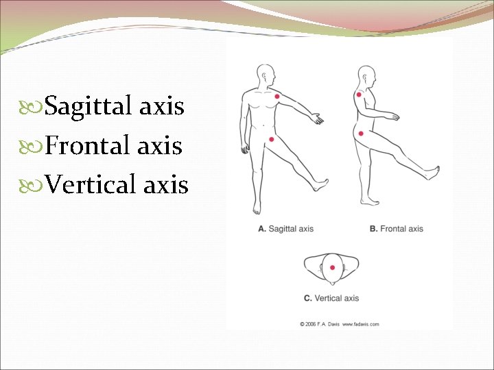  Sagittal axis Frontal axis Vertical axis 