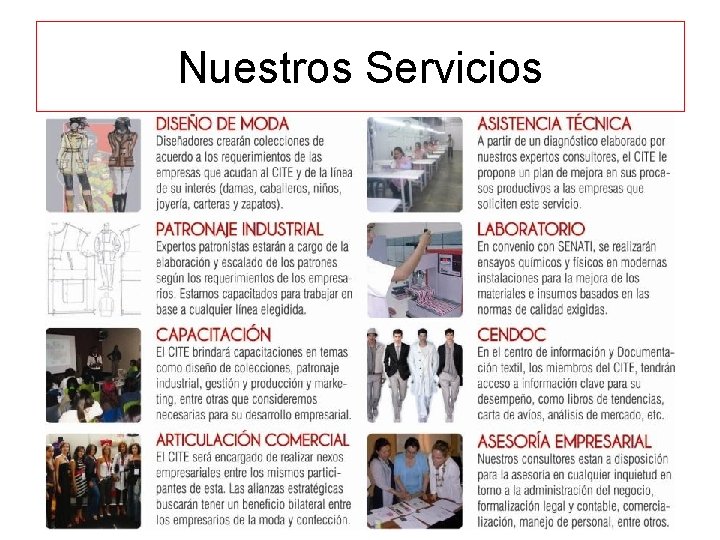 Nuestros Servicios 