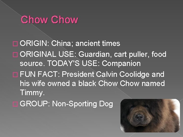Chow � ORIGIN: China; ancient times � ORIGINAL USE: Guardian, cart puller, food source.