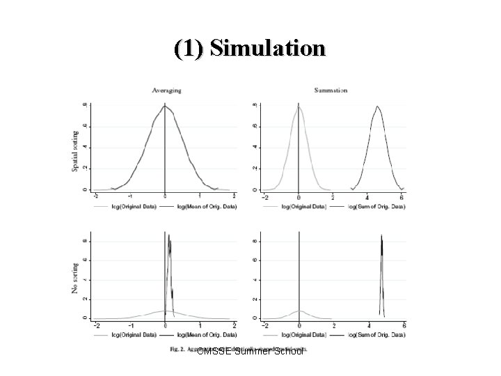(1) Simulation CMSSE Summer School 