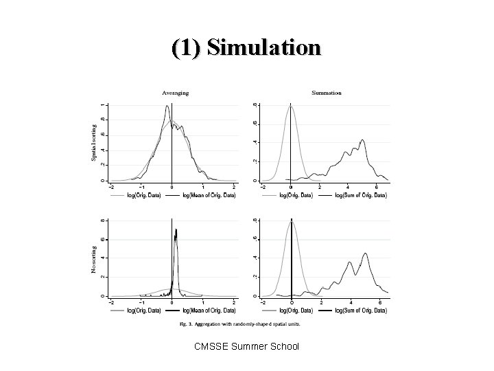 (1) Simulation CMSSE Summer School 