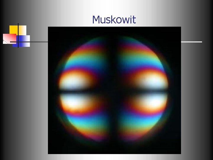 Muskowit 
