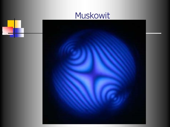 Muskowit 