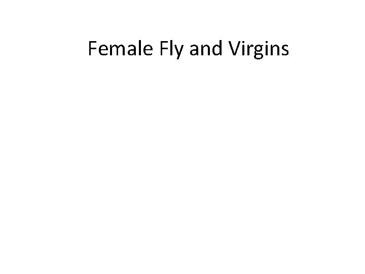 Female Fly and Virgins 