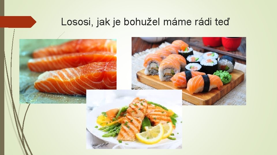 Lososi, jak je bohužel máme rádi teď 