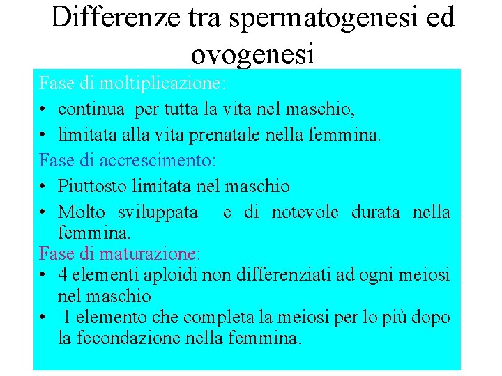 Differenze tra spermatogenesi ed ovogenesi Fase di moltiplicazione: • continua per tutta la vita