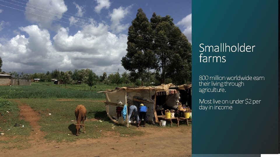 Smallholder farms 800 million worldwide earn their living through agriculture. Most live on under
