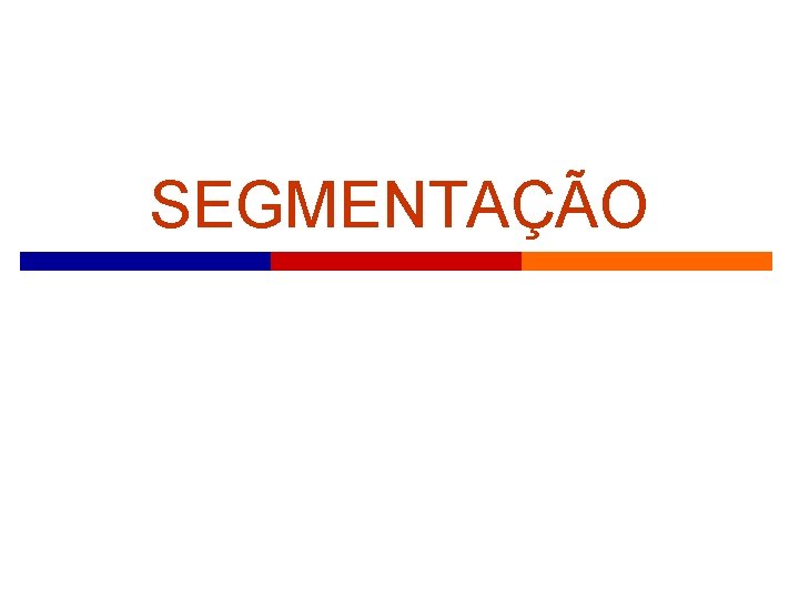 SEGMENTAÇÃO 