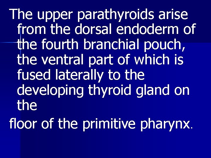 The upper parathyroids arise from the dorsal endoderm of the fourth branchial pouch, the