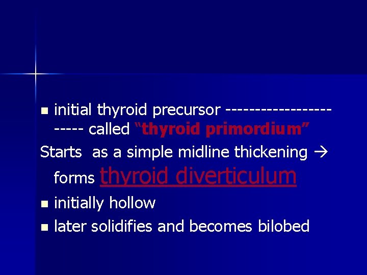 initial thyroid precursor ----------- called “thyroid primordium” Starts as a simple midline thickening n