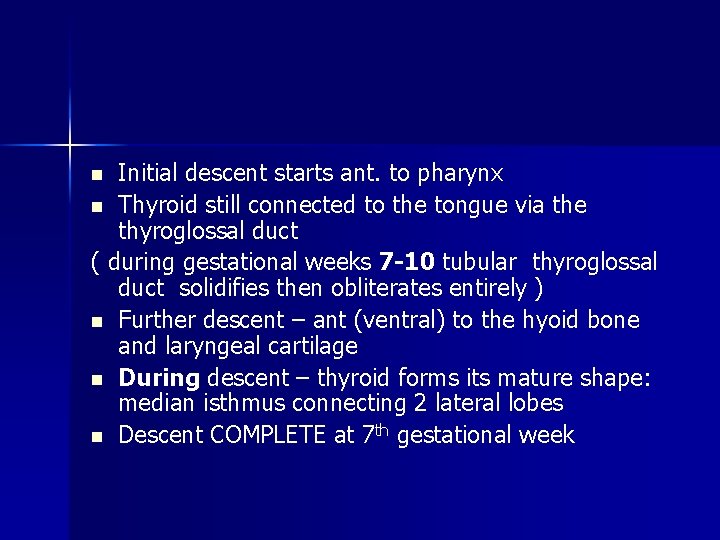 Initial descent starts ant. to pharynx n Thyroid still connected to the tongue via