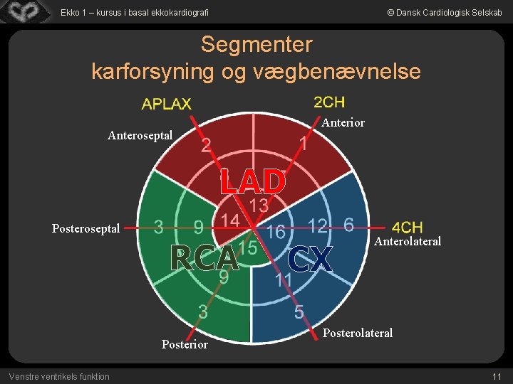 Ekko 1 – kursus i basal ekkokardiografi © Dansk Cardiologisk Selskab Segmenter karforsyning og