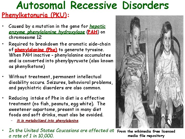 Autosomal Recessive Disorders Phenylketonuria (PKU): • • Caused by a mutation in the gene