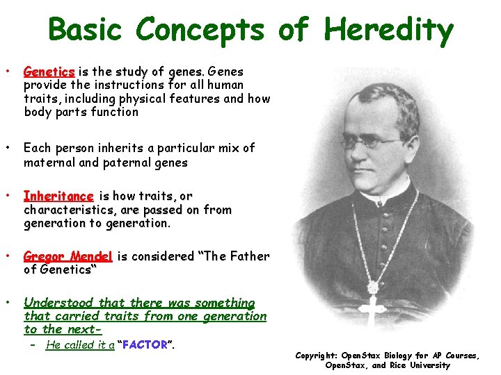 Basic Concepts of Heredity • Genetics is the study of genes. Genes provide the