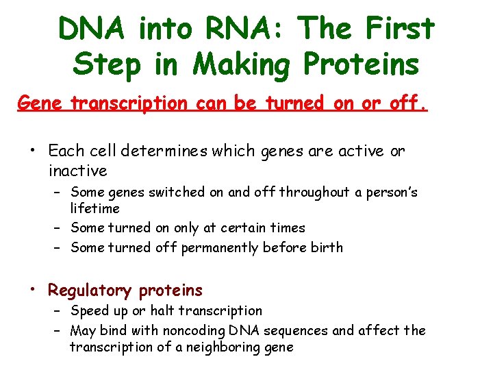 DNA into RNA: The First Step in Making Proteins Gene transcription can be turned