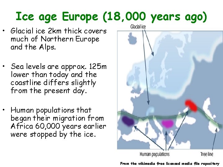 Ice age Europe (18, 000 years ago) • Glacial ice 2 km thick covers