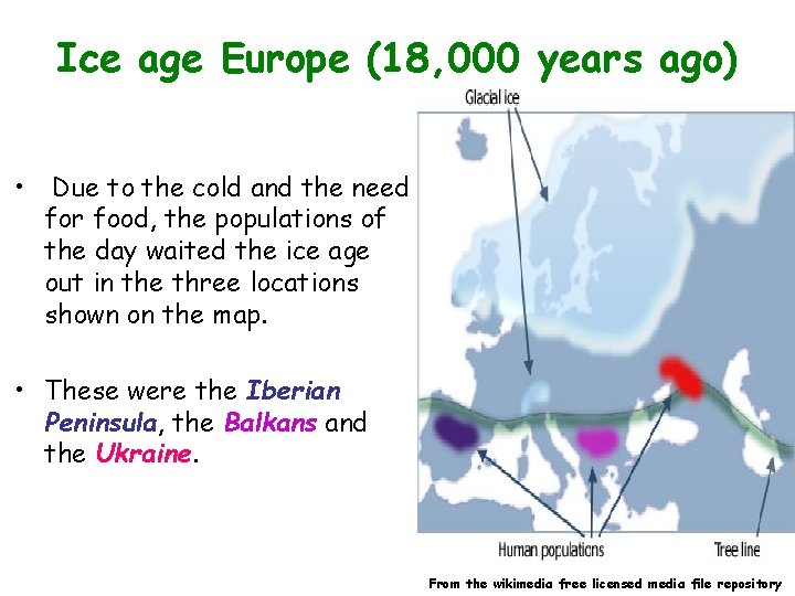 Ice age Europe (18, 000 years ago) • Due to the cold and the