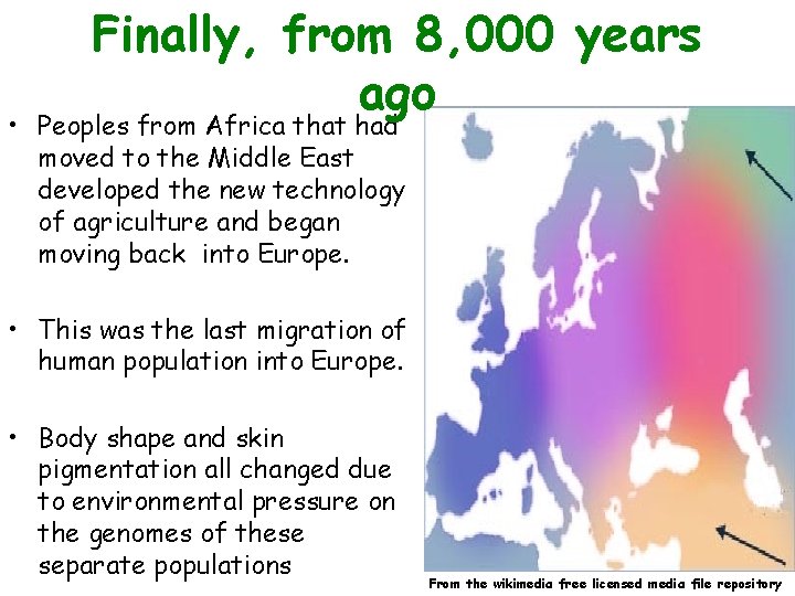Finally, from 8, 000 years ago • Peoples from Africa that had moved to