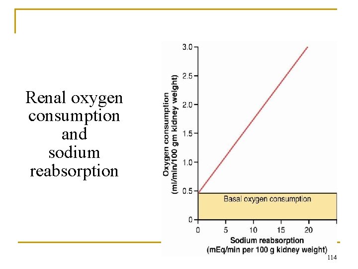 Renal oxygen consumption and sodium reabsorption 114 
