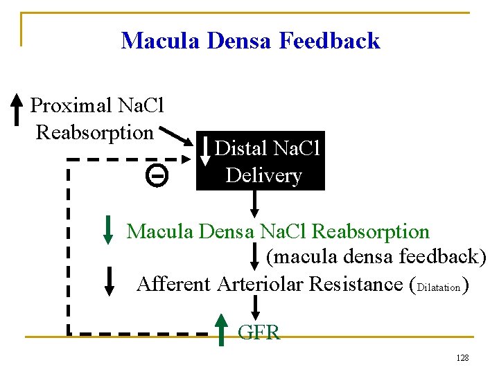 Macula Densa Feedback Proximal Na. Cl Reabsorption Distal Na. Cl Delivery Macula Densa Na.