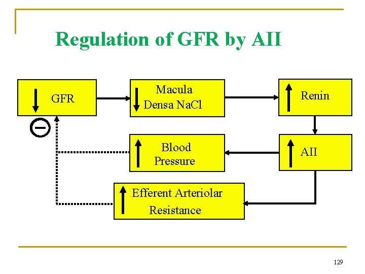Regulation of GFR by AII GFR Macula Densa Na. Cl Blood Pressure Renin AII